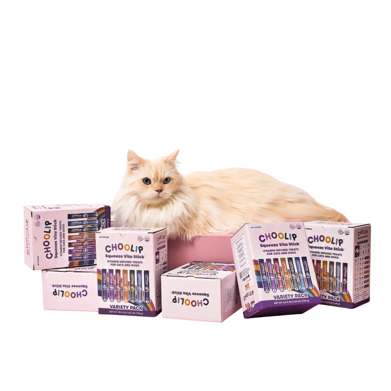 Subscription | Choolip