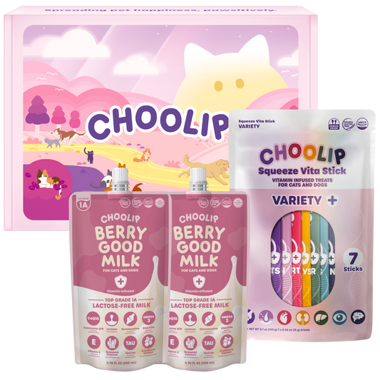 Choolip Treat Box - Variety Pouch & Hydration Milk