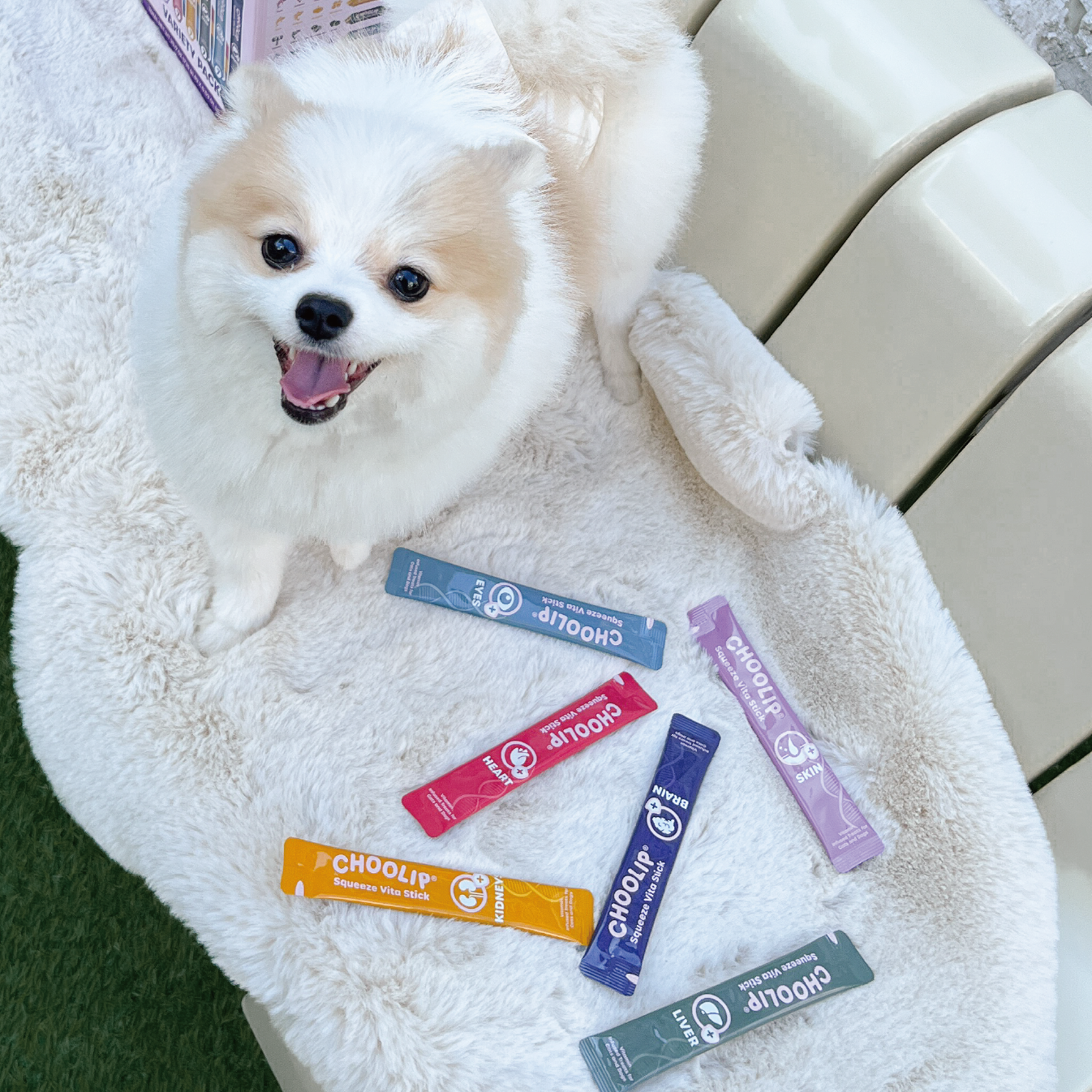 choolip_sticks_variety_dog